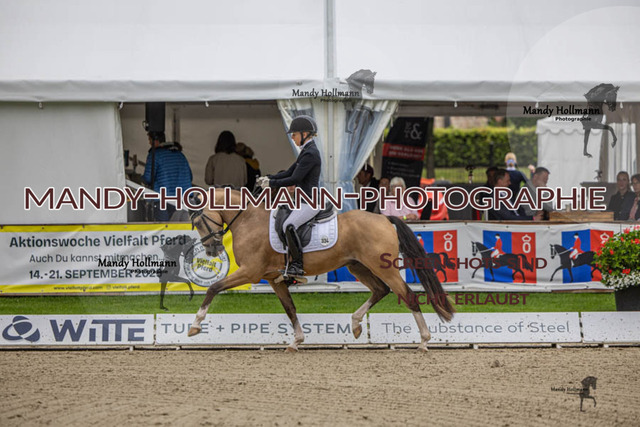 27.07.25 OLT D1 48 DR (254) | mandyhollmannphotographie