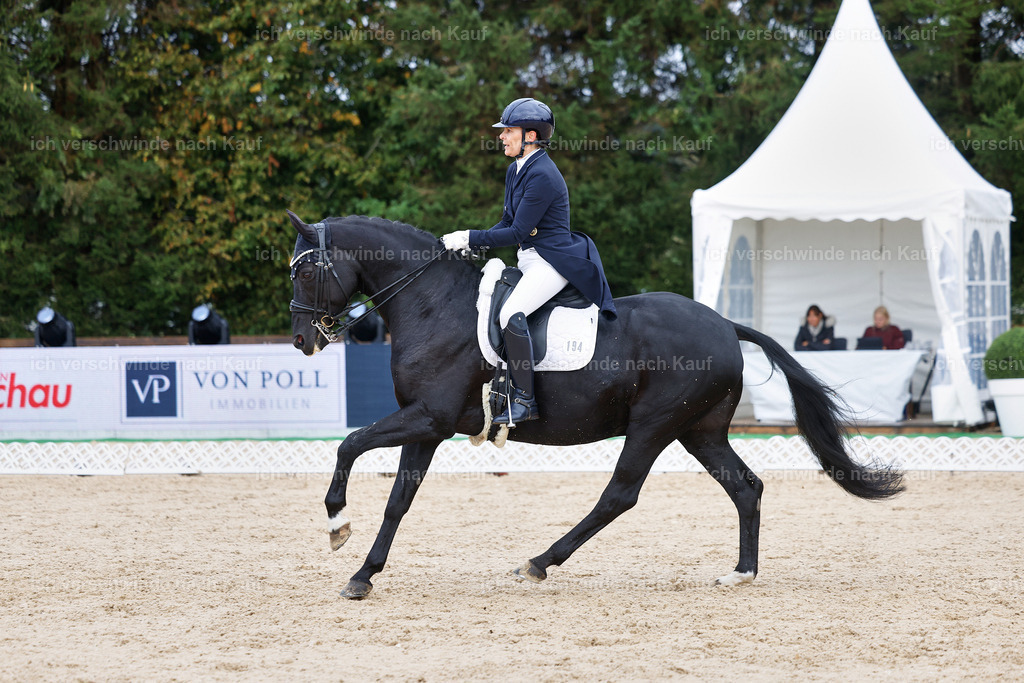 07-194-DRESSUR  S___  -StoibPH-5005 | working equitationturnier fotograf videograf stoibphotography marixx film working equitation deutschland reitsport turnierfotografie eventfotografie equestrian events
