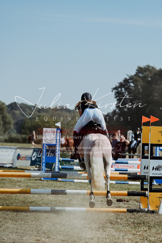 DSC_9450 | Pferde- und Turnierfotografie in Westsachsen. Pferdeportraits, Auftragszeichnungen und intuitive Kunst.