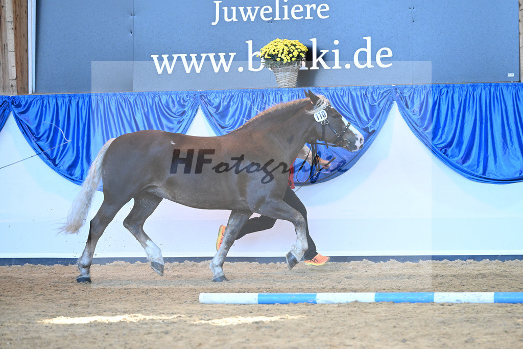 Kat-Nr. 110 Nele_Abel_53220781 | hf-fotografie - Realizzato con Pictrs.com