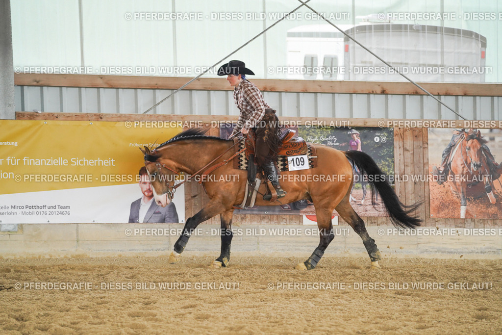 DSC05631 | Pferdegrafie