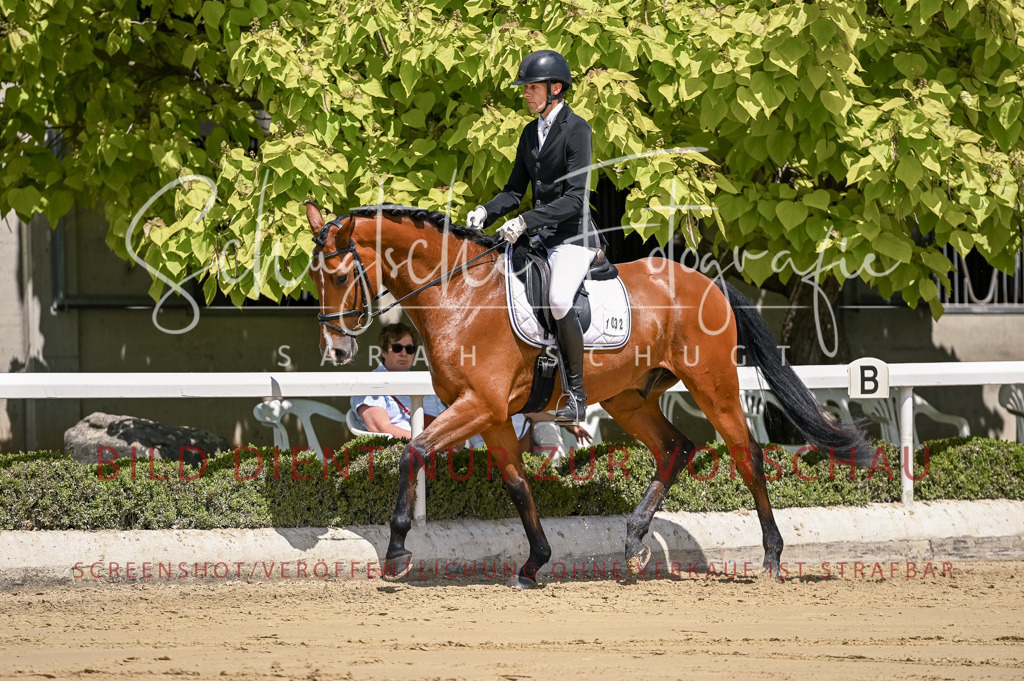 Schugtsche-Aluta25-48.Reitpferfdeprf.-208 | Schugtsche Fotografie - Realisiert mit Pictrs.com