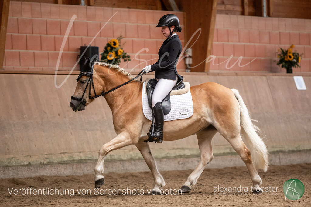 250912_Barop_10-2_167 | farbklaex.com