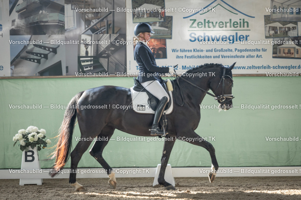 _D5A0709 | Emotionale Pferde- & People-Fotografie rund um Heidelberg, Leimen & Umgebung. Natürliche Fotos von Pferd, Mensch & Familie. Jetzt Termin sichern!