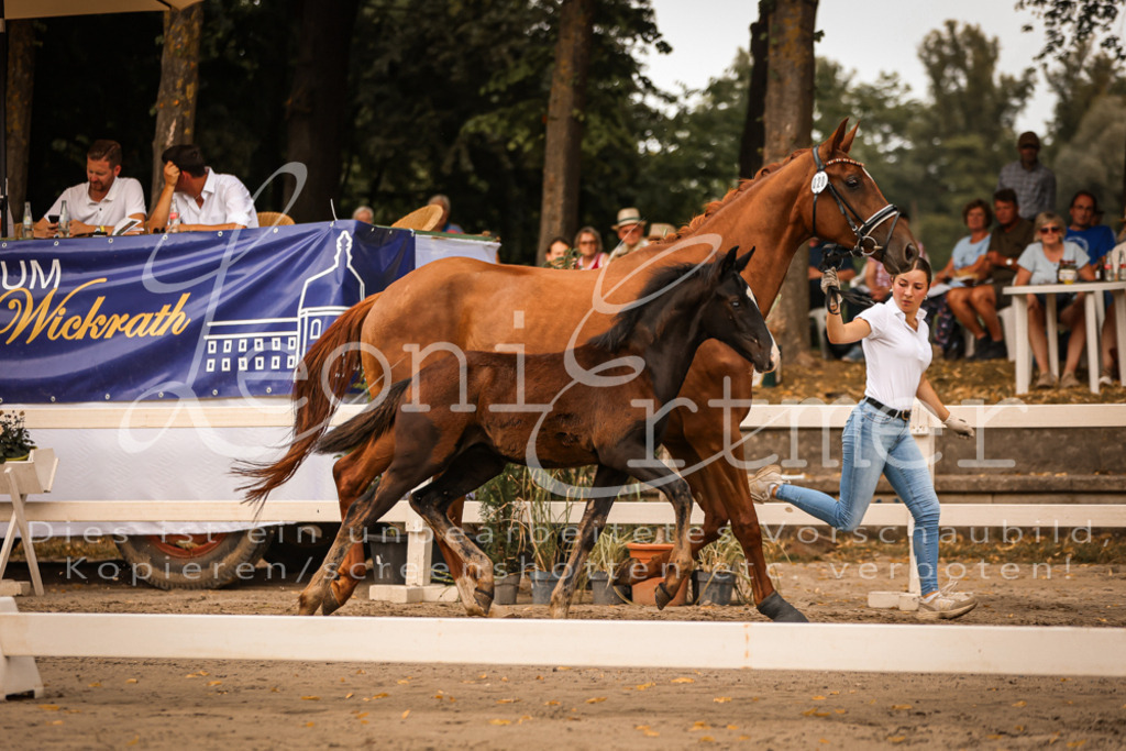 SaPA00280 | Leoni Ertmer Photography - Realisiert mit Pictrs.com