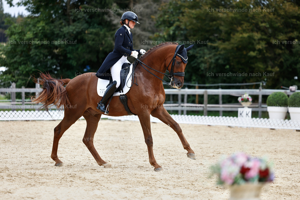 11-141-Dressur S___-Marixx-1847 | working equitationturnier fotograf videograf stoibphotography marixx film working equitation deutschland reitsport turnierfotografie eventfotografie equestrian events