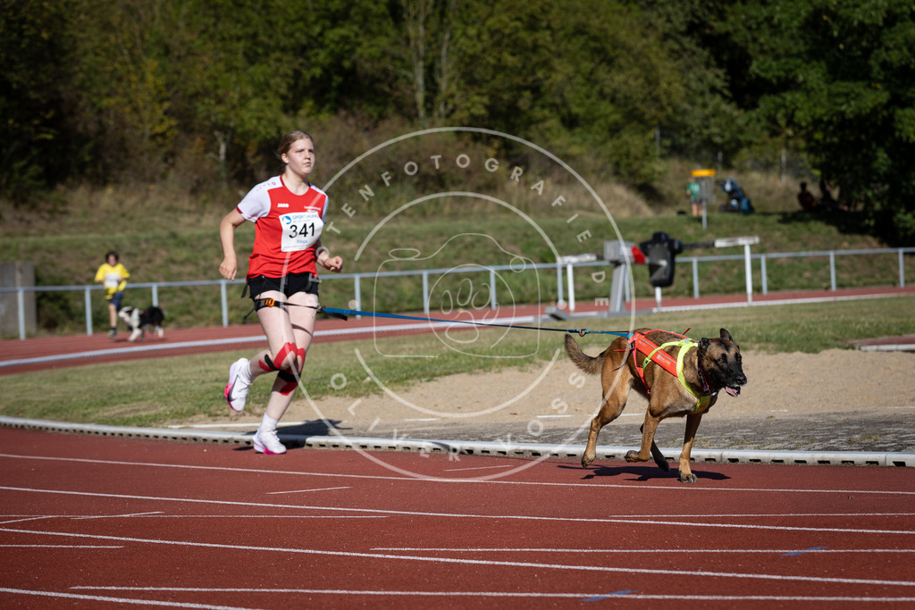 Pfotenfotografie_DV3A8172 | Hundefotografie, Tierfotograf, Pfotenfotografie, Fotoshooting Hund, Hunde Portrait, Hundesport, Hundeportraits, Heideshooting, Hunde, Sportfotograf, Hundefotograf, Turnierhundsport, THS,  - Realisiert mit Pictrs.com
