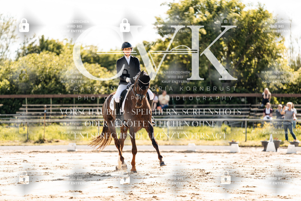 CK909193 | Turnierfotografie Pferdefotografie Trier Rheinland-Pfalz Pferdesport Reitsport Tierfotografie Sportfotografie Pferdevideo Pferdevideografie Equestrianvideography equestrianphotography  - Realisiert mit Pictrs.com