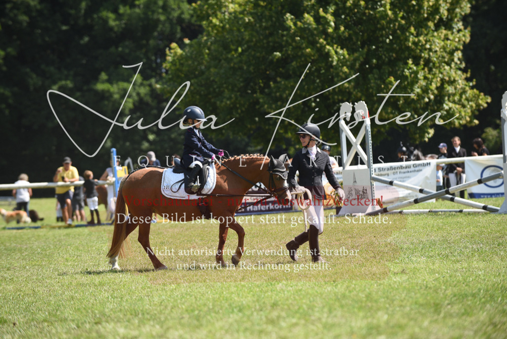 DSC_9867 | Pferde- und Turnierfotografie in Westsachsen. Pferdeportraits, Auftragszeichnungen und intuitive Kunst.