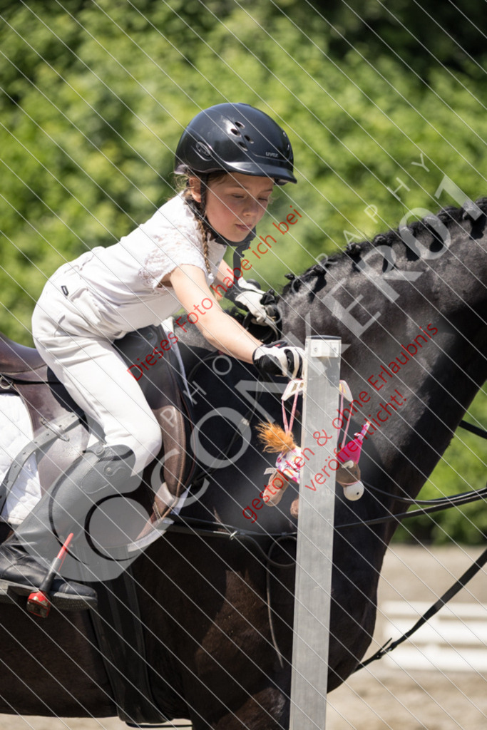 IMG_3548 | Sport-, Event- und Tierfotos in Profiqualität. Einfach auswählen, bestellen und herunterladen. Dein Moment – perfekt festgehalten.