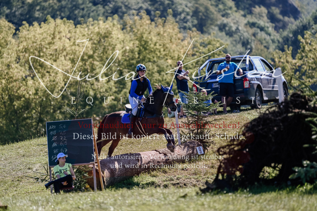 DSC_3091 | Pferde- und Turnierfotografie in Westsachsen. Pferdeportraits, Auftragszeichnungen und intuitive Kunst.