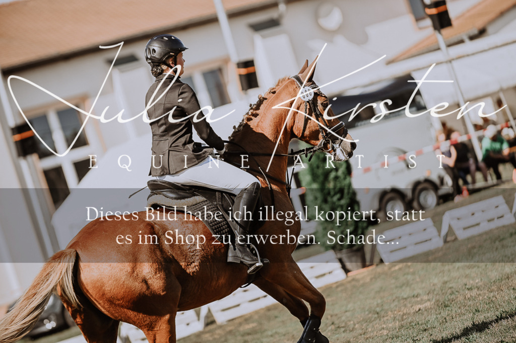 DSC_9320 | Pferde- und Turnierfotografie in Westsachsen. Pferdeportraits, Auftragszeichnungen und intuitive Kunst.