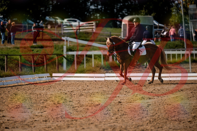 2026_10_03_Siefer-Hof_122126_Z63_44886744 | Professionelle Reitsport-, Turnier- und Eventfotografie von Robert Broda. Galerien mit ausgewählten und bearbeiteten Bildern direkt online ansehen und bestellen.