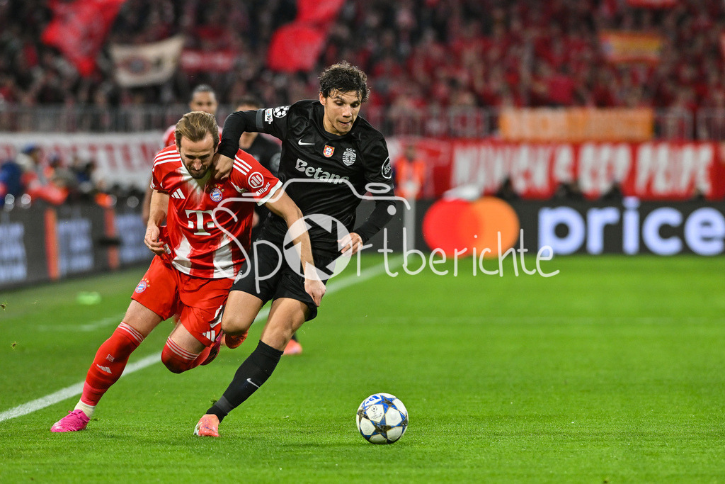FC Bayern München - Sporting Lissabon | MUNICH, GERMANY - 09. DECEMBER: im Duell Harry KANE (FC Bayern Munich 9) und Eduardo QUARESMA (Sporting CP 72) während dem Match zwischen dem FC Bayern München und Sporting Lissabon am 6. Spieltag der UEFA Champions League Ligaphase in der Allianz Arena