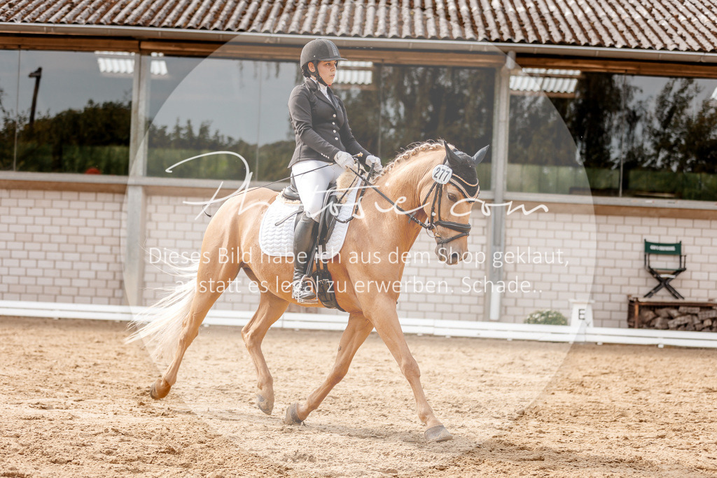 3I6A3931 | Stimmungsvolle Portraits und Reitsportfotografie im Ruhrgebiet und im Münsterland.

Pferdefotografie, Hundefotografie, Tierfotografie, Reportagen, Portraits von Tier und Mensch, Turnierfotografie in Bochum, Recklinghausen, Marl, Haltern am See, Dülmen.. - Realisiert mit Pictrs.com