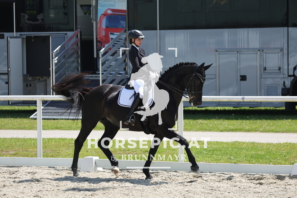 0P6A2056 | Willkommen bei Brunnmayr - Design & Fotografie – Ihrem Spezialisten für Reitturniere und Pferdeveranstaltungen in Oberösterreich, Salzburg und Bayern! Seit über 17 Jahren sind wir leidenschaftlich dabei.