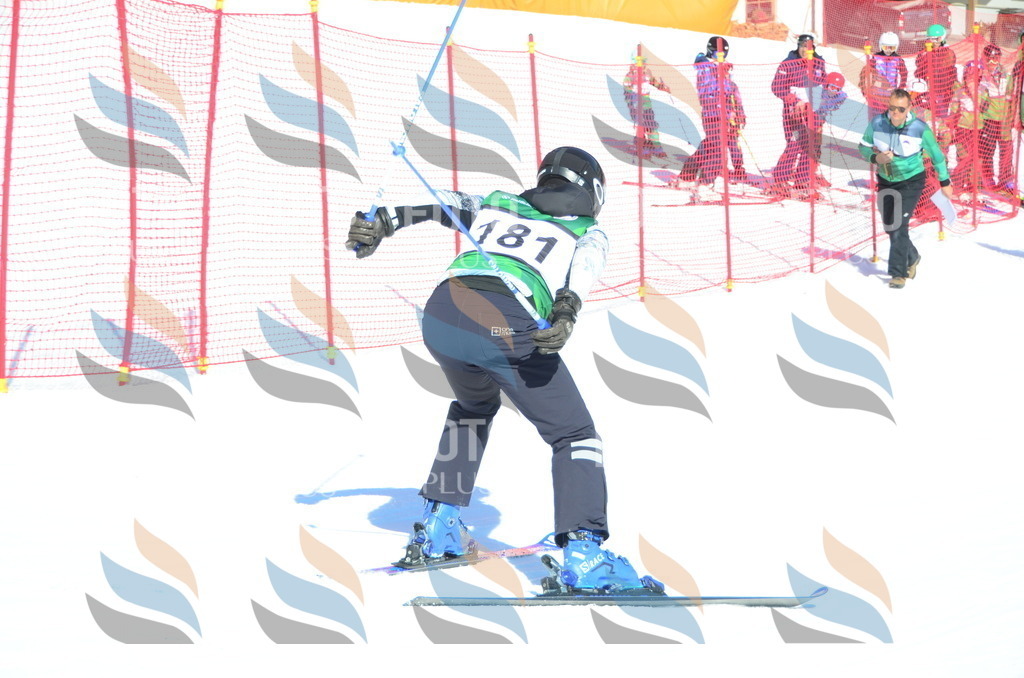 C6407 | holidayphoto