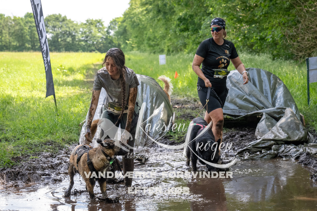 1230_ZZ92586 | kk-dogfotos