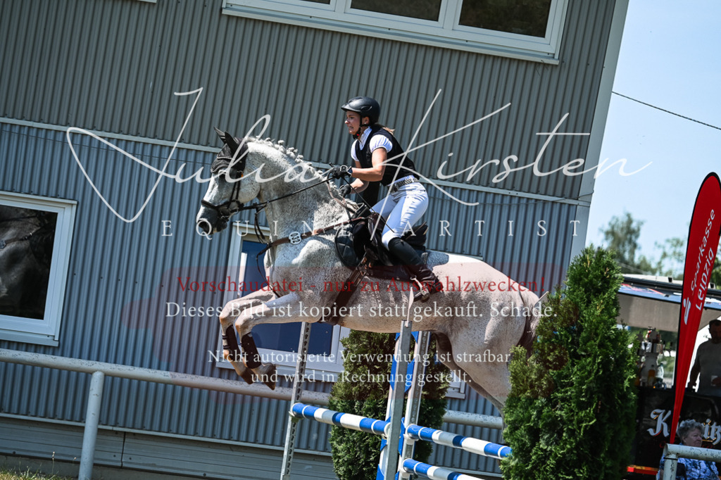 DSC_0311 | Pferde- und Turnierfotografie in Westsachsen. Pferdeportraits, Auftragszeichnungen und intuitive Kunst.