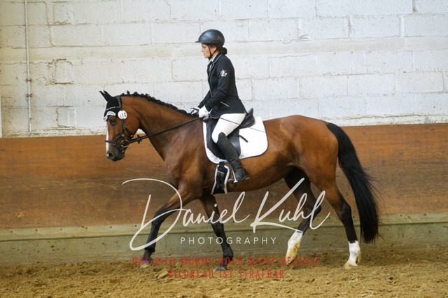 DKP44063 | Turniersportfotografie; Pferdefotografie; Dressurfotografie