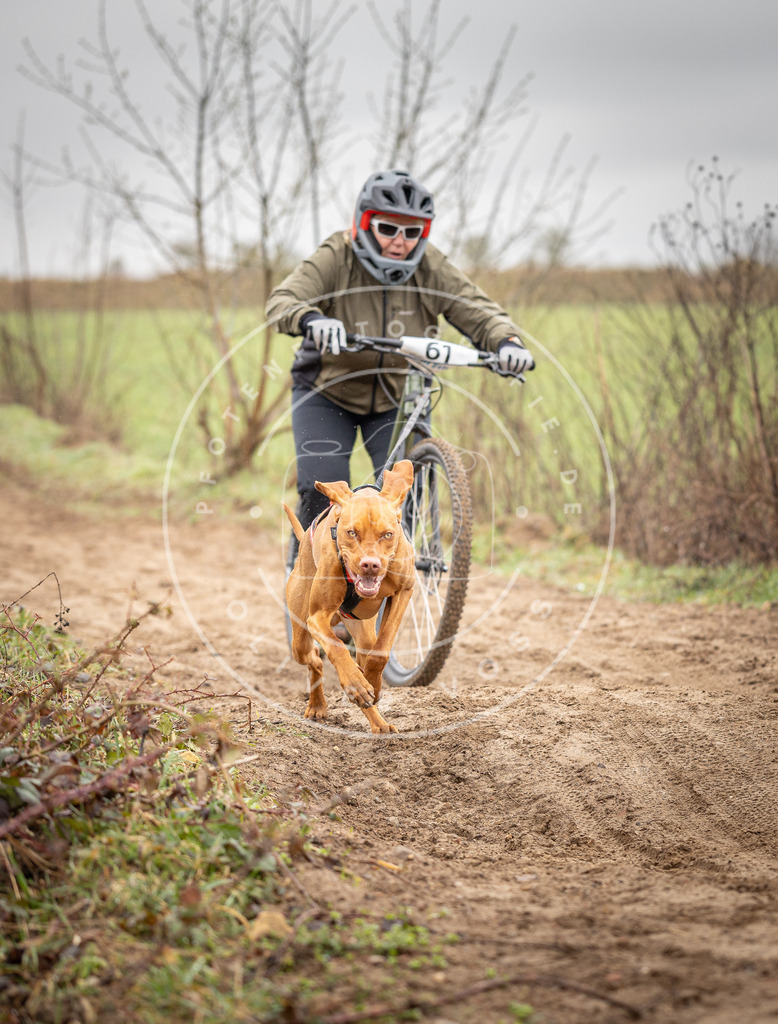DV3A9387 | Hundefotografie, Tierfotograf, Pfotenfotografie, Fotoshooting Hund, Hunde Portrait, Hundesport, Hundeportraits, Heideshooting, Hunde, Sportfotograf, Hundefotograf, Turnierhundsport, THS,  - Realisiert mit Pictrs.com