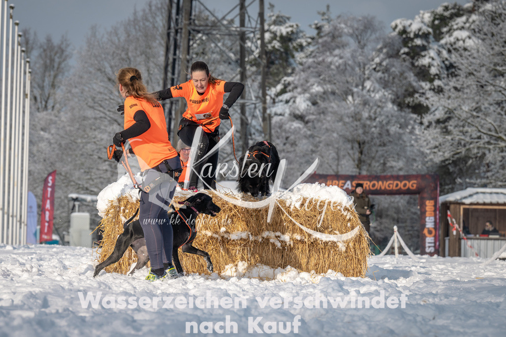 0903_ZZ93043 | kk-dogfotos