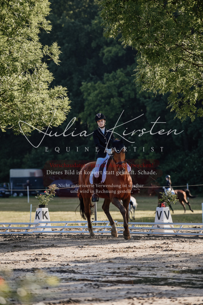 DSC_7708 | Pferde- und Turnierfotografie in Westsachsen. Pferdeportraits, Auftragszeichnungen und intuitive Kunst.