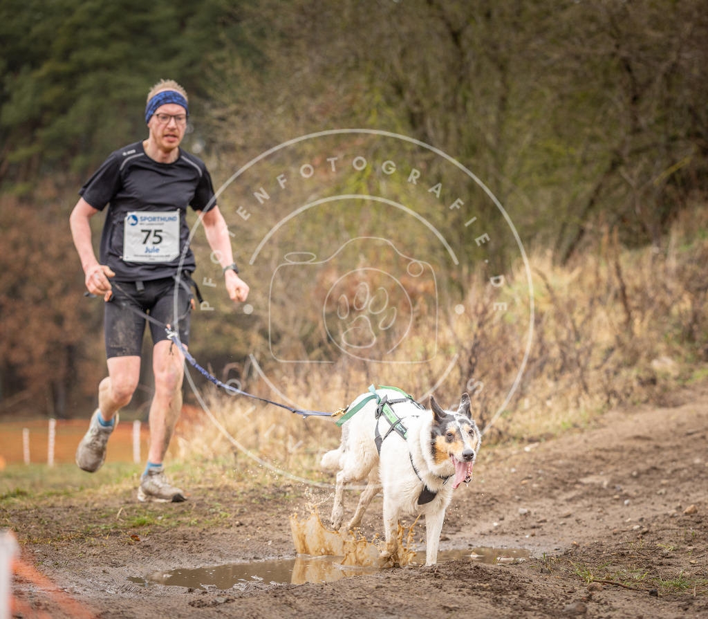 DV3A0264 | Hundefotografie, Tierfotograf, Pfotenfotografie, Fotoshooting Hund, Hunde Portrait, Hundesport, Hundeportraits, Heideshooting, Hunde, Sportfotograf, Hundefotograf, Turnierhundsport, THS,  - Realisiert mit Pictrs.com