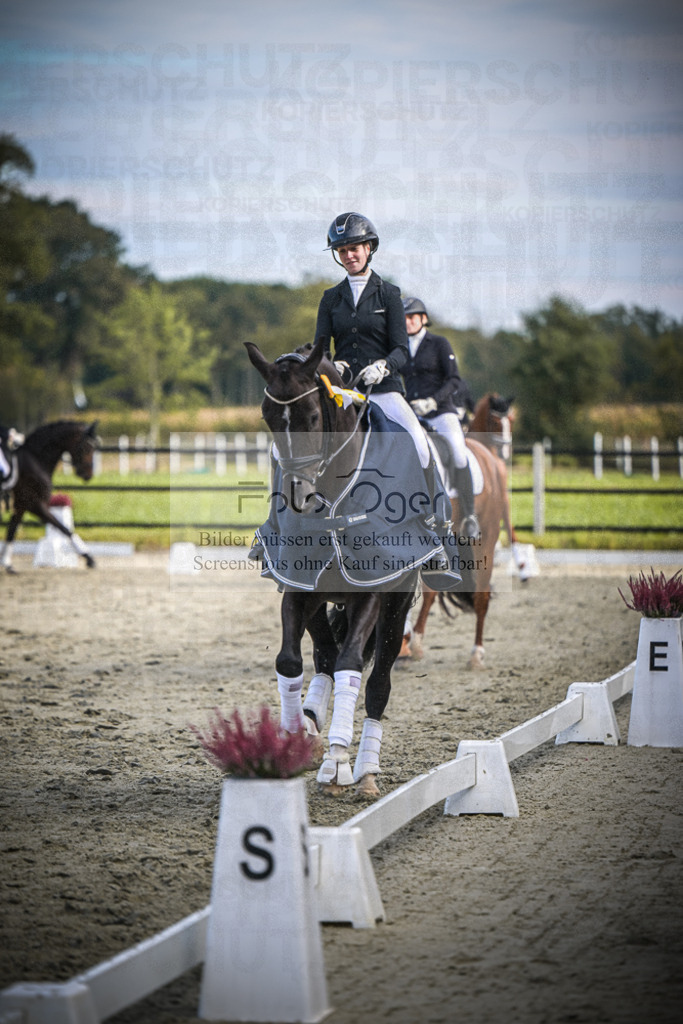 DOS_0070 | Entdecke hochwertige Reitturnierfotos von Foto Oger. Professionell, emotional und authentisch – jetzt Lieblingsmomente im Shop bestellen.Deutschlandweite Turnierfotografie. - Realisiert mit Pictrs.com