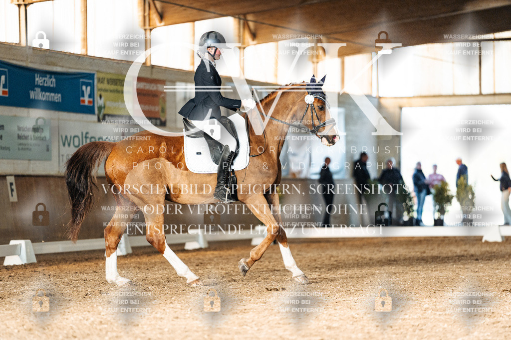 CK903291 | Turnierfotografie Pferdefotografie Trier Rheinland-Pfalz Pferdesport Reitsport Tierfotografie Sportfotografie Pferdevideo Pferdevideografie Equestrianvideography equestrianphotography  - Realisiert mit Pictrs.com