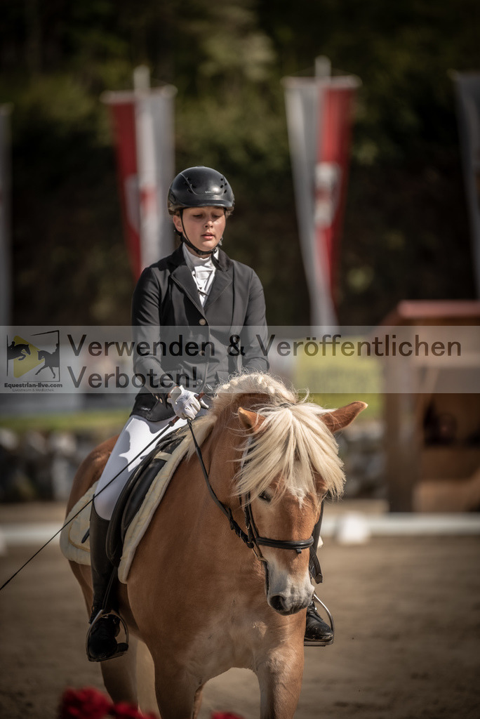 DSC_8799 | equestrian-live-com