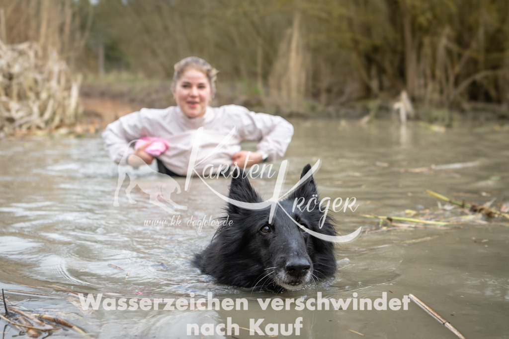 1557_ZZ94738 | kk-dogfotos