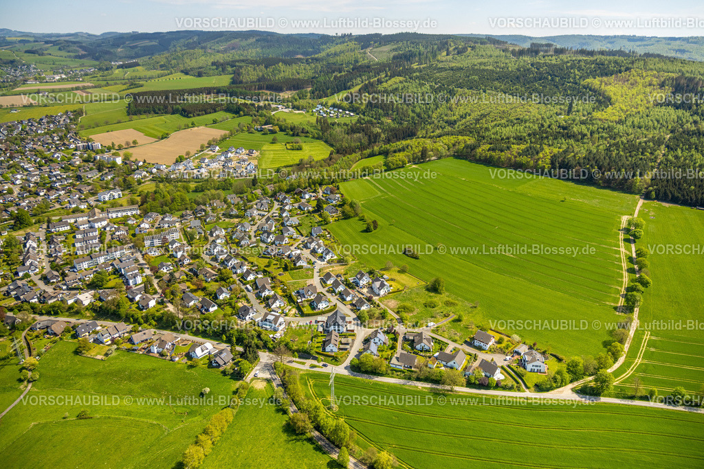 Schmallenberg240505483 | Luftbild, Wohngebiet Sattlestraße, Höhenweg, Baumallee und Waldgebiet, hinten das Bergdorf LiebesGrün, Schmallenberg, Sauerland, Nordrhein-Westfalen, Deutschland