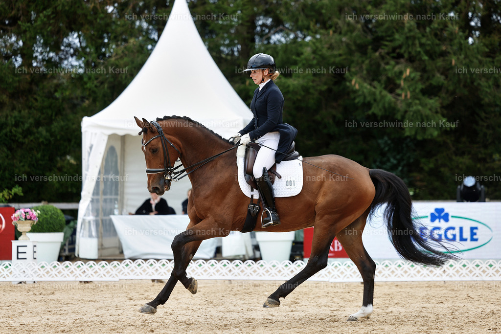 6-001-AMATUER-DRESSUR S_  -StoibPH-3559 | working equitationturnier fotograf videograf stoibphotography marixx film working equitation deutschland reitsport turnierfotografie eventfotografie equestrian events