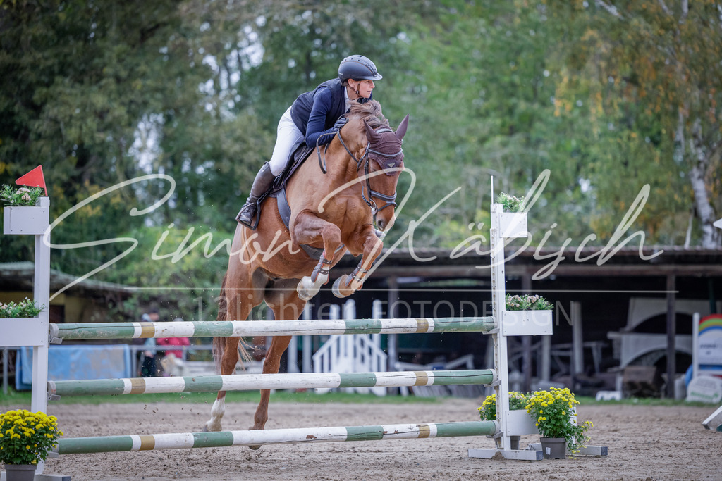 20251012-_3LI5059 | Tierfotografie Pferde, Hunde, Katzen, Haustiere.
Turnierfotografie Reitturniere, Reiten, Springreiten, Dressur in Hanau, dem Main-Kinzig-Kreis und dem Rhein-Main- Gebiet um Frankfurt
