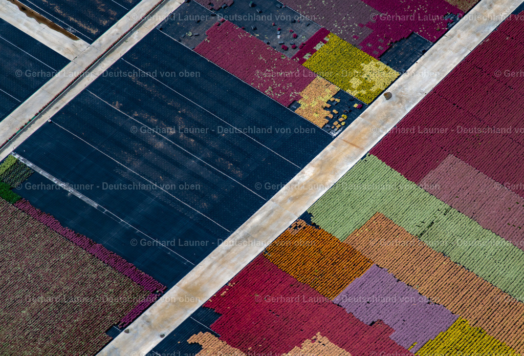 3806301 | Gärtnerei Knaup, Röthlein