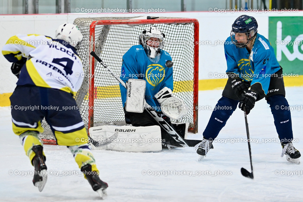 BST_6447 | hockey sports photos, Pressefotos, Sportfotos, hockey247, win 2day icehockeyleague, Handball Austria, Floorball Austria, ÖVV, Kärntner Eishockeyverband, KEHV, KFV, Kärntner Fussballverband, Österreichischer Volleyballverband, Alps Hockey League, ÖFB, 