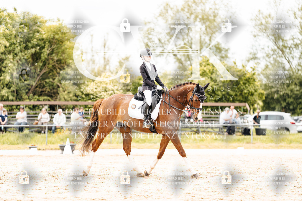 CK902940 | Turnierfotografie Pferdefotografie Trier Rheinland-Pfalz Pferdesport Reitsport Tierfotografie Sportfotografie Pferdevideo Pferdevideografie Equestrianvideography equestrianphotography  - Realisiert mit Pictrs.com