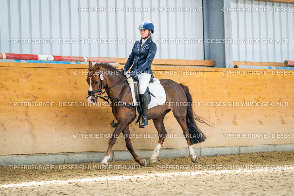 DSC03669 | Pferdegrafie