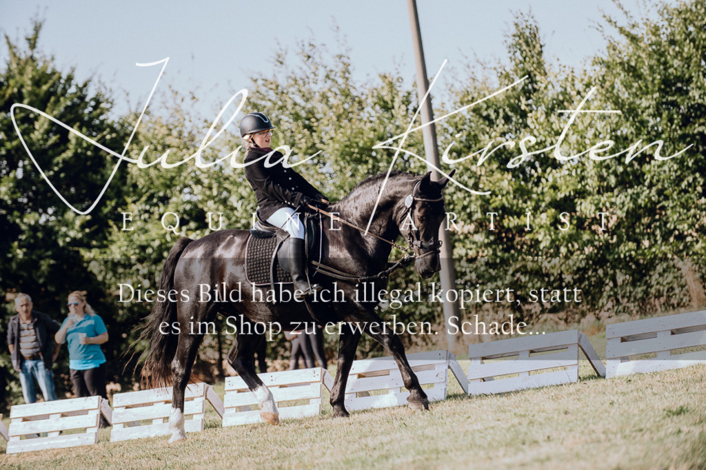 DSC_6984 | Pferde- und Turnierfotografie in Westsachsen. Pferdeportraits, Auftragszeichnungen und intuitive Kunst.