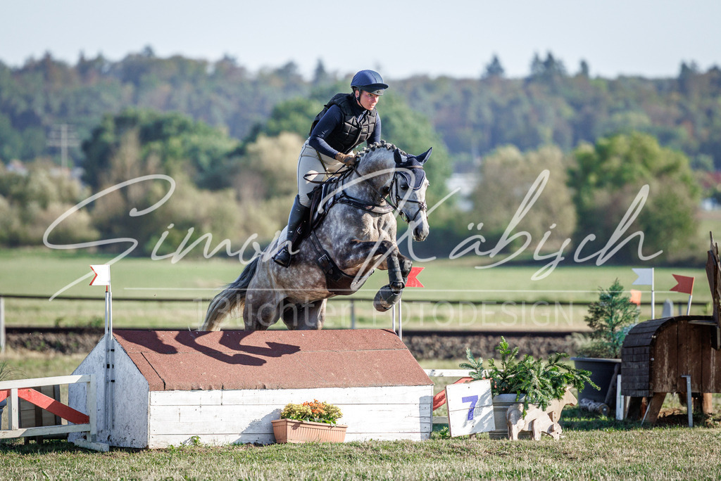 20260905-_3LI0673 | Tierfotografie Pferde, Hunde, Katzen, Haustiere.
Turnierfotografie Reitturniere, Reiten, Springreiten, Dressur in Hanau, dem Main-Kinzig-Kreis und dem Rhein-Main- Gebiet um Frankfurt