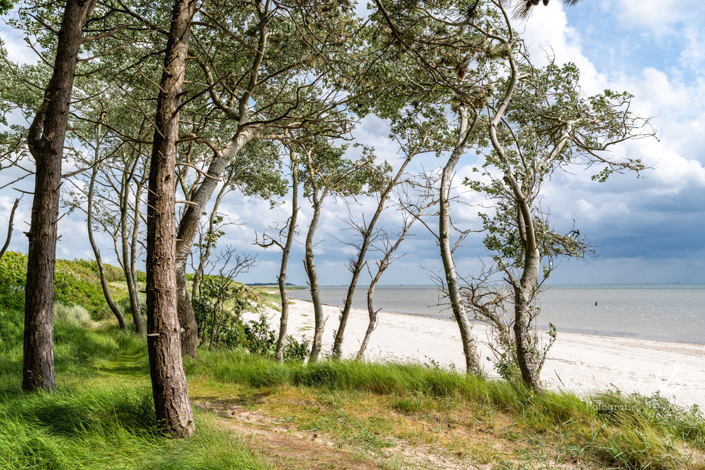 20240605-EAF_1540 | Eilun-Art-Fotografie Levke Martens, ihre Fotografin für Immobilien- und Landschaftsfotografie auf Föhr, Föhrer Motive als Poster, Leinwand, hinter Acrylglas oder stelle dir deinen eigenen Monatskalender zusammen, mit nur einem Klick