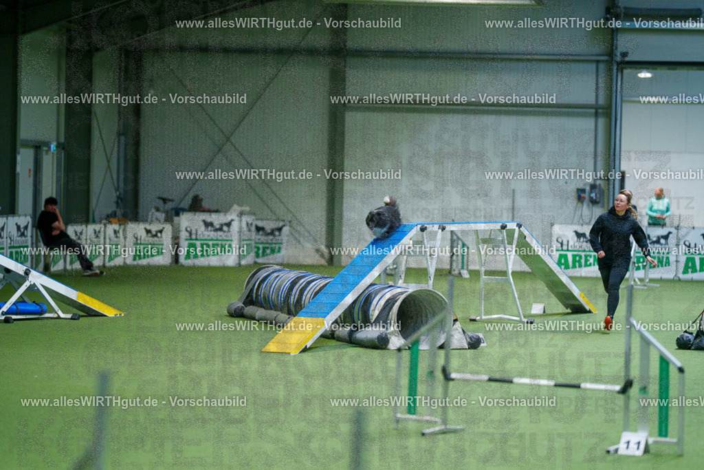 @allesWIRTHgut_Tierfotografie - www.allesWIRTHgut.de - 2604250840-7R507373 | Professionelle Tierfotografie in Mönchengladbach von Daniel Wirth (allesWIRTHgut). Liebevolle & natürliche Bilder von Hunden & Katzen für unvergessliche Erinnerungen.