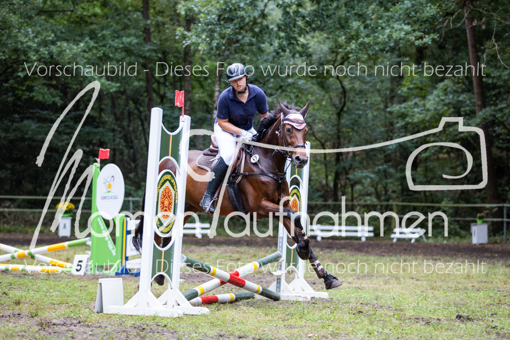 HB-JaD-029 | MomenTaufnahmen Pferdesportfotos