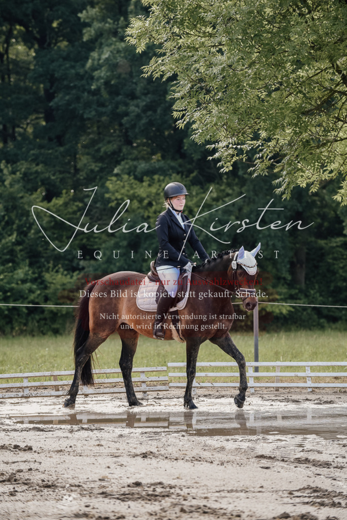 DSC_8111 | Pferde- und Turnierfotografie in Westsachsen. Pferdeportraits, Auftragszeichnungen und intuitive Kunst.