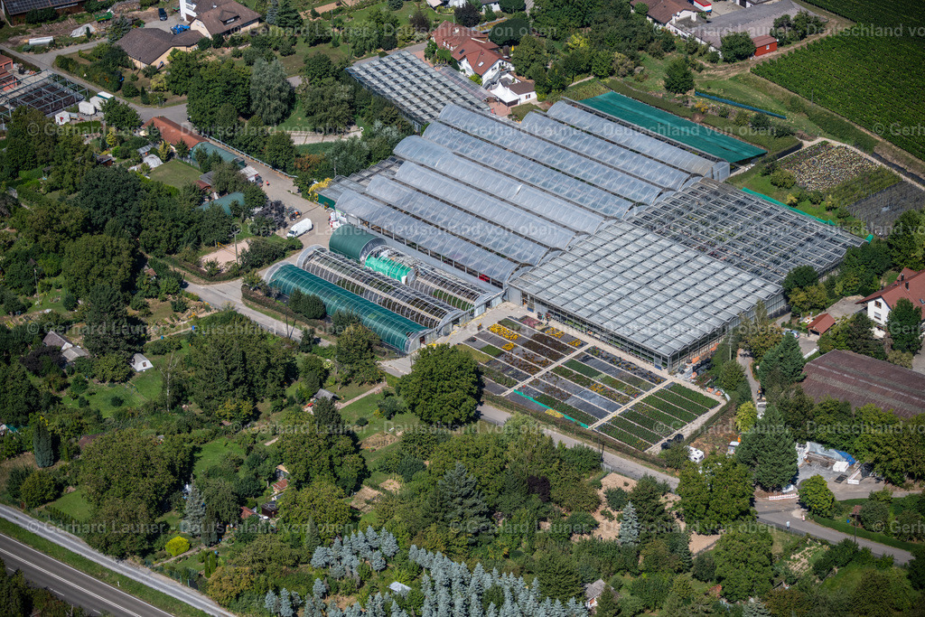 3902702 | Bioland Gärtnerei Umbach-Goji, Heilbronn