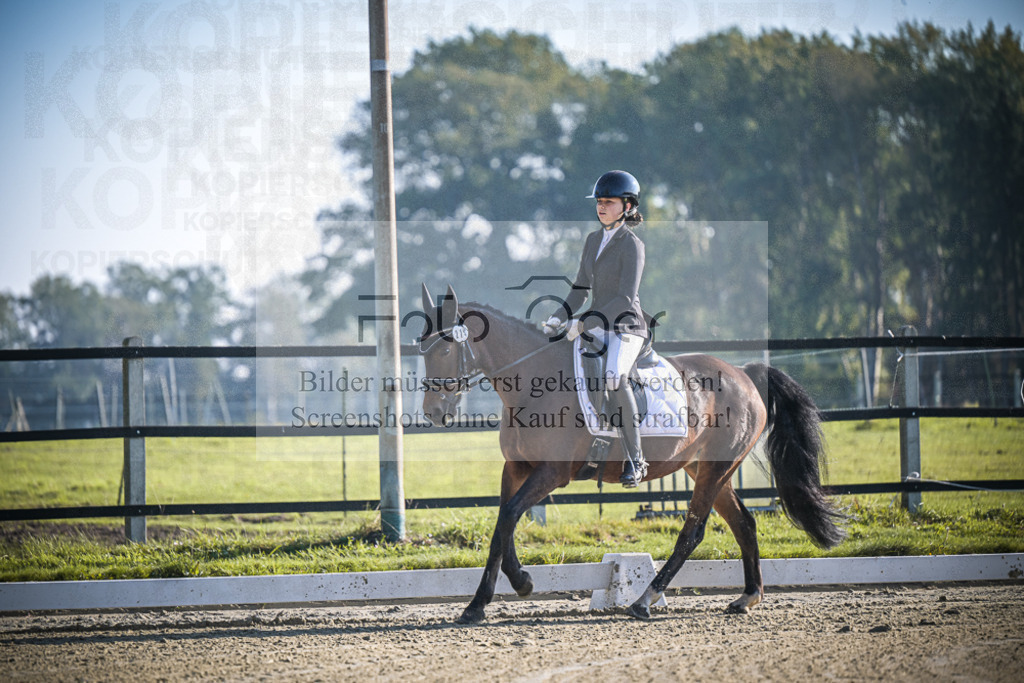 DOS_0713 | Entdecke hochwertige Reitturnierfotos von Foto Oger. Professionell, emotional und authentisch – jetzt Lieblingsmomente im Shop bestellen.Deutschlandweite Turnierfotografie. - Realisiert mit Pictrs.com