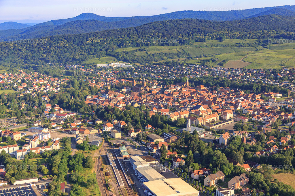Aerial view: CFGV - Caves de Wissembourg and train station in Wissembourg in the state Bas-Rhin, France. – Photo: IMG_089942.jpg taken on 06/26/2016 by Werner Riehm/FLY-FOTO.com – Resolution of the original: 5385 x 3590 px – LES CAVES DE WISSEMBOURG - Production de vins à bulles