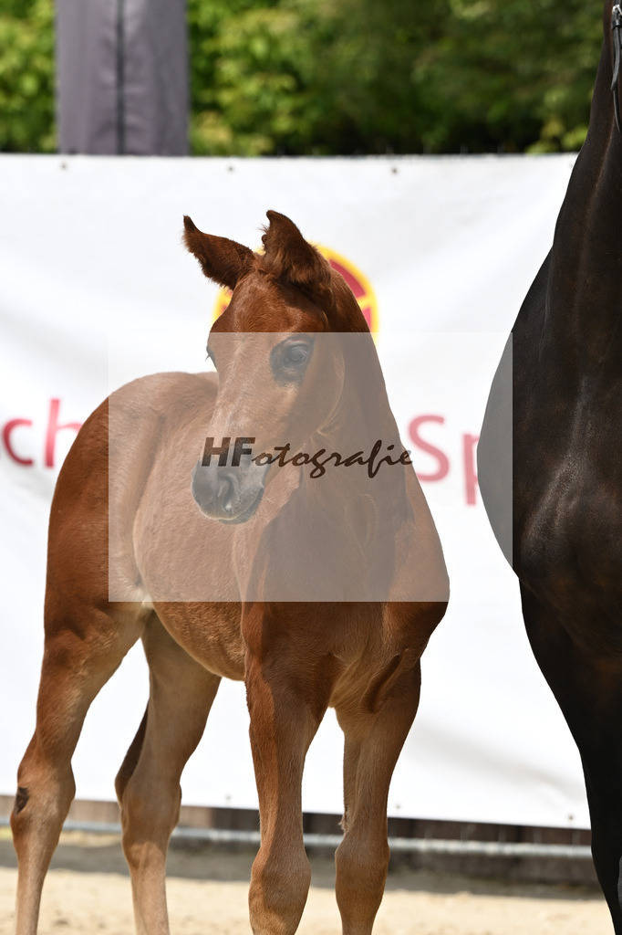 Vjento x Follow Me_SF_Wiedemann u Schmiech_12250537 | hf-fotografie - Realisiert mit Pictrs.com