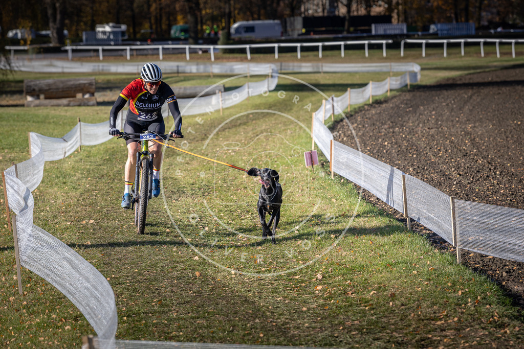 CaniXpix_DV3A4892 | Hundefotografie, Tierfotograf, Pfotenfotografie, Fotoshooting Hund, Hunde Portrait, Hundesport, Hundeportraits, Heideshooting, Hunde, Sportfotograf, Hundefotograf, Turnierhundsport, THS,  - Realisiert mit Pictrs.com